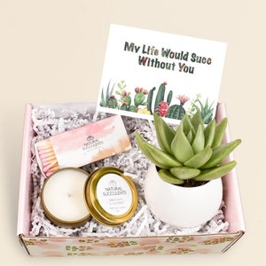 My Life Would Succ Without You Gift Box - Thank You Gift Box - Miss you Gift - Live succulent Gift Box - Thinking of You Gift (XBE6)