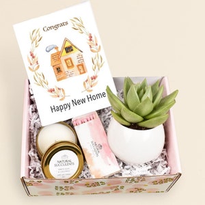 Happy New Home - Live succulent gift box - Housewarming gift box - Housewarming Gift -  Housewarming Gift Set -  First Home Gift Box (XBJ3)