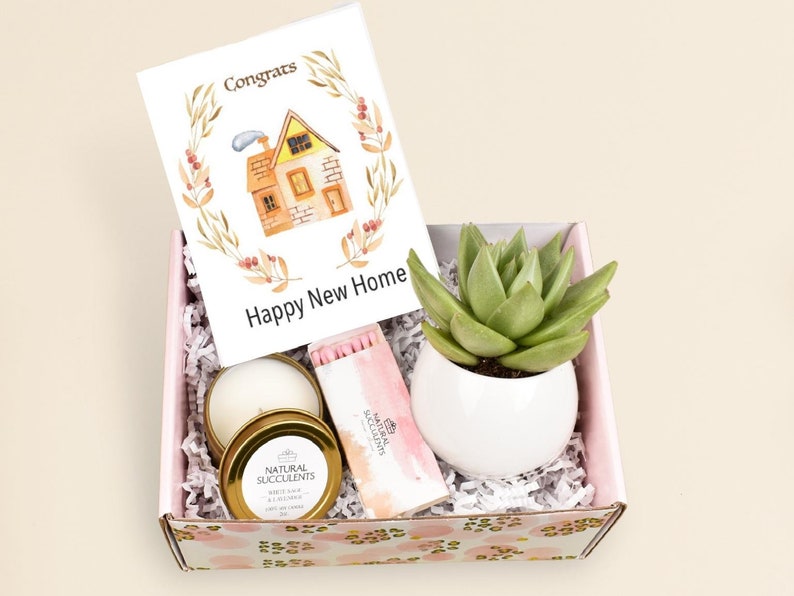 Happy New Home - Live succulent gift box - Housewarming gift box - Housewarming Gift -  Housewarming Gift Set -  First Home Gift Box (XBJ3) 
