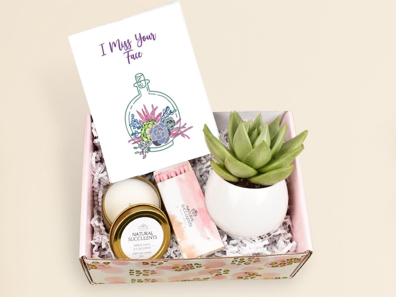 I Miss You Succulent Gift Box,  I Miss Your Face, Best Friend Gift Set,  Send a Gift , Care Package, Miss You Gift, Missing You Gift (XBL5) 