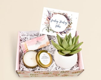 Succulent Gift Box - Healing Vibes Gift Box - Get Well Gift Box - Sending Healing Vibes Gift - Friend Gift - Get Well Soon Gift (XBM1)