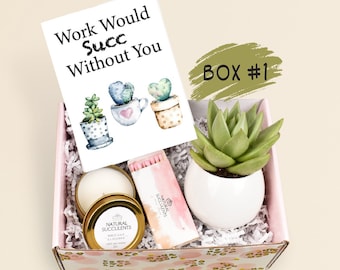 Corporate Gift - Work Would Succ Without You - Custom Coworker Gift - Coworker Gift Ideas - Retirement Gift - Corporate - Succulents (XFB7)