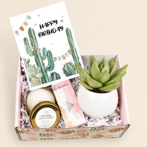 Birthday Gift For Best Friend, Best Friend Gift, Birthday Gift For Mom, Birthday Gift For Her, Birthday Gift, Live Succulent gift box (XBB6)