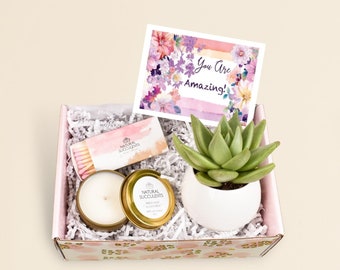 Natural Succulents Care Package, Thank You Gift Box, You are Amazing, Thinking of You, Cheer Up Gift, Succulent Gift Box, Get Well (XBN3)