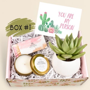 CARE PACKAGE - You're My Person - Live Succulent - Bestie Gift- Birthday Gift - Miss you Gift - Soy Wax - Send A gift - Succulents (XFA7)