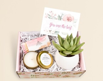 Friendship Succulent Gift Box - You Are The Best - Succulent Gift For Best Friend -  Best Friend Gift, Thinking of You Gift -(XBP3)