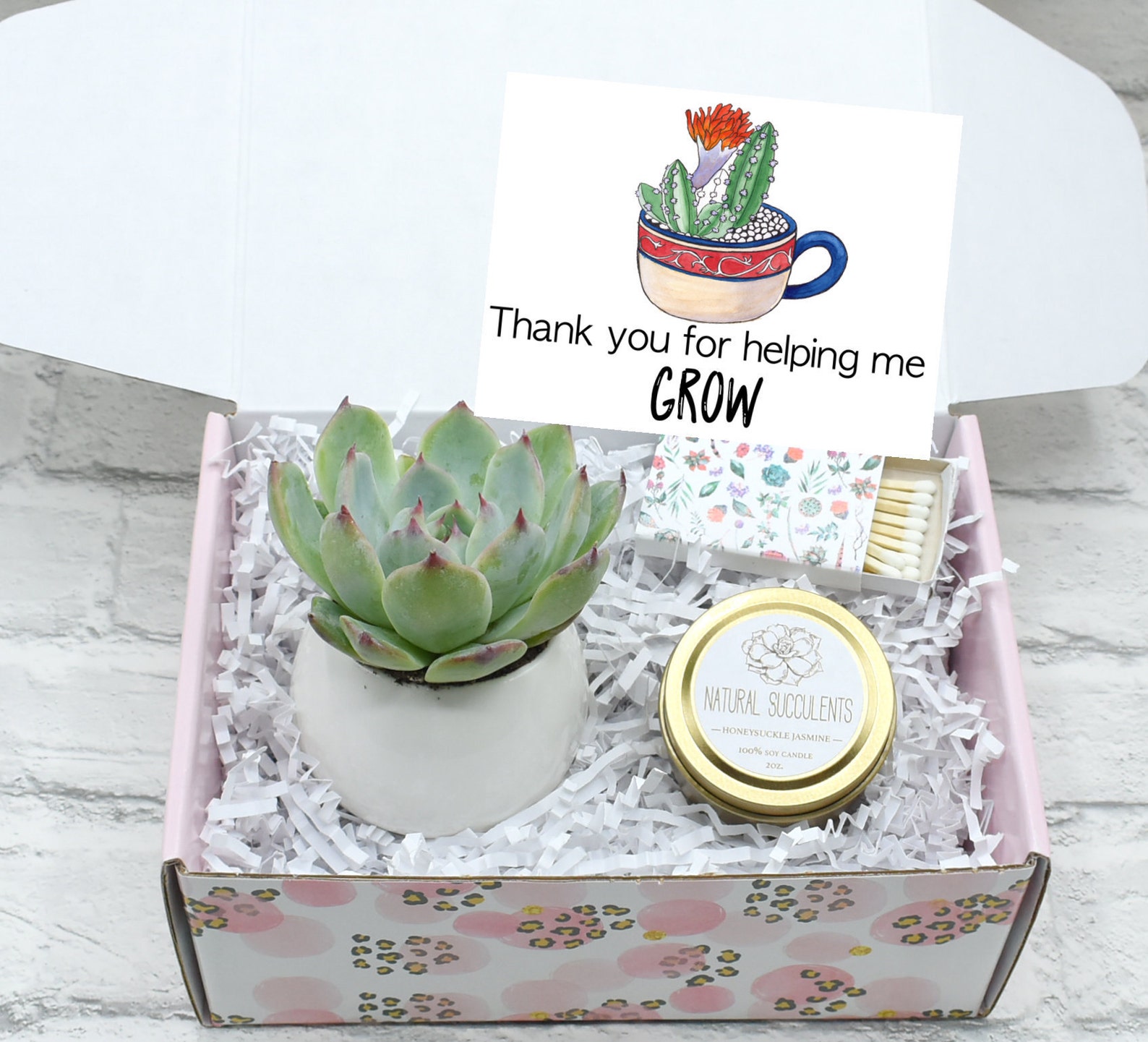 Teacher Succulent Gift Box