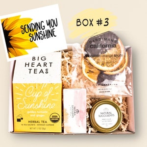 Sending You Sunshine Succulent Gift Box - Live Succulent Gift - Friendship Gift - Thinking of You Gift - Send a Gift - Care Package (XFA9)