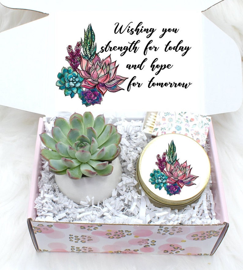 Sympathy Gift Box Succulent Gift Ideas Sympathy Gift Ideas