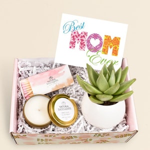 Live Succulent birthday gift box, Birthday gift for mom, gift for her, Best  mom ever gift box,  succulent gift box, gift box for mom (XBH1)