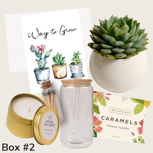 Job Promotion Gift, Job Promotion, New Job Gift, Job Promotion Care Package, Way to Grow, Co-worker Gift box, Live Succulent Gift (XFB6)