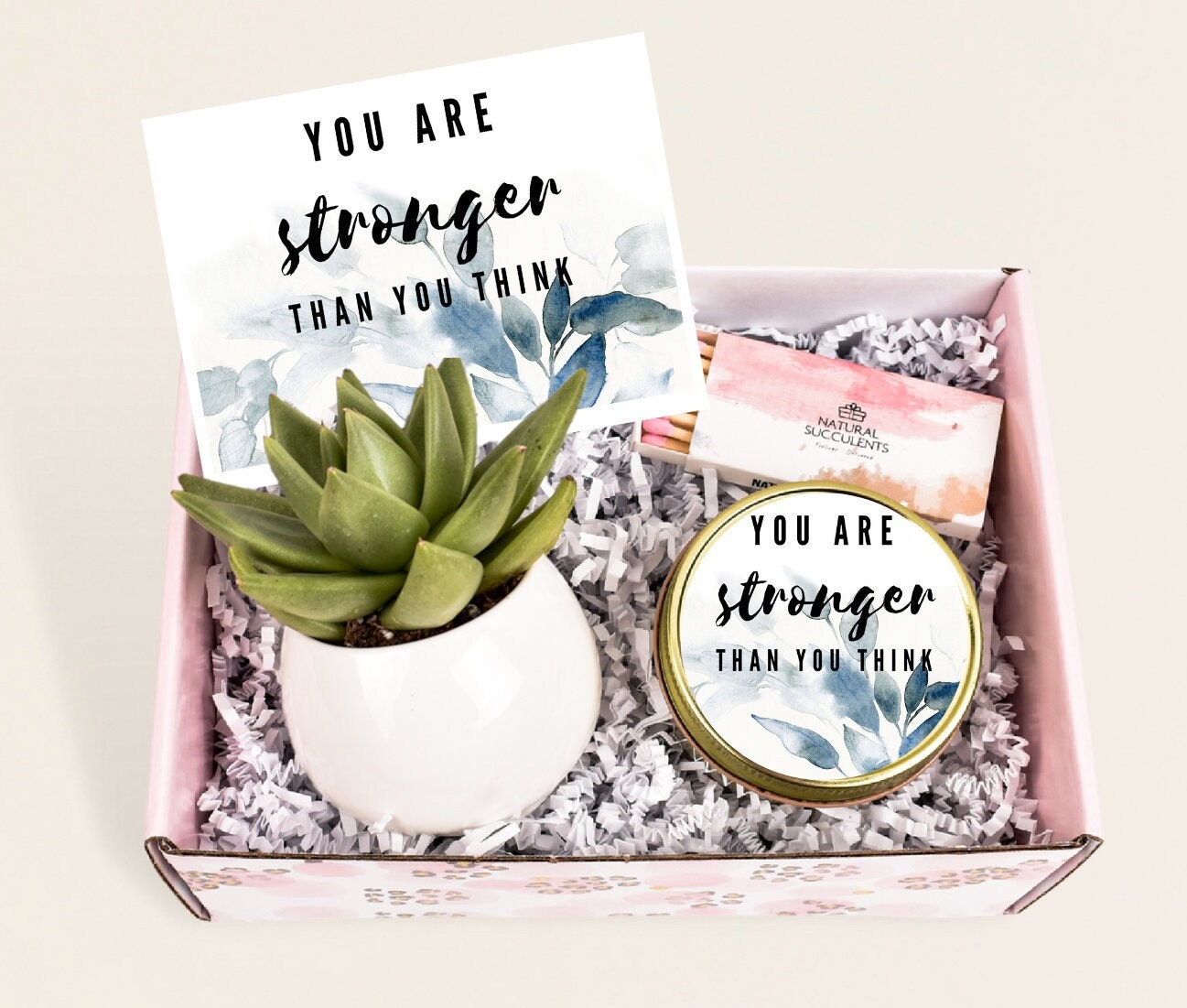 You are stronger than you think,  succulent gift box, Encouragement g…