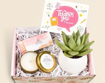 Thank You Teacher Gift Ideas - Teacher Appreciation Gifts 2022 - Succulent Gift box - Send a Gift For Your Teacher Thank You Teacher  (XFP1)