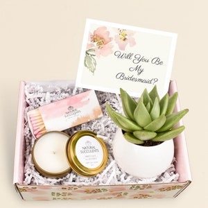 Bridesmaid Proposal - Bridesmaid Proposal Gift - Bridesmaid Proposal Card - Succulent Box - Will you be my bridesmaid - Bridesmaid (XBO3)