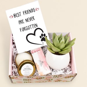 Pet Sympathy Gift - Pet Loss Gift - Custom Pet Sympathy Gift - Pet Memorial - Sympathy gift box - sorry gift box - succulent Gift Box (XBA2)