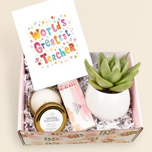 Teacher Appreciation Gift - Teacher Gift - Succulent Gift Box  - Appreciation Gift For Teacher - Teacher Appreciation - Teacher Gift (XFE5)