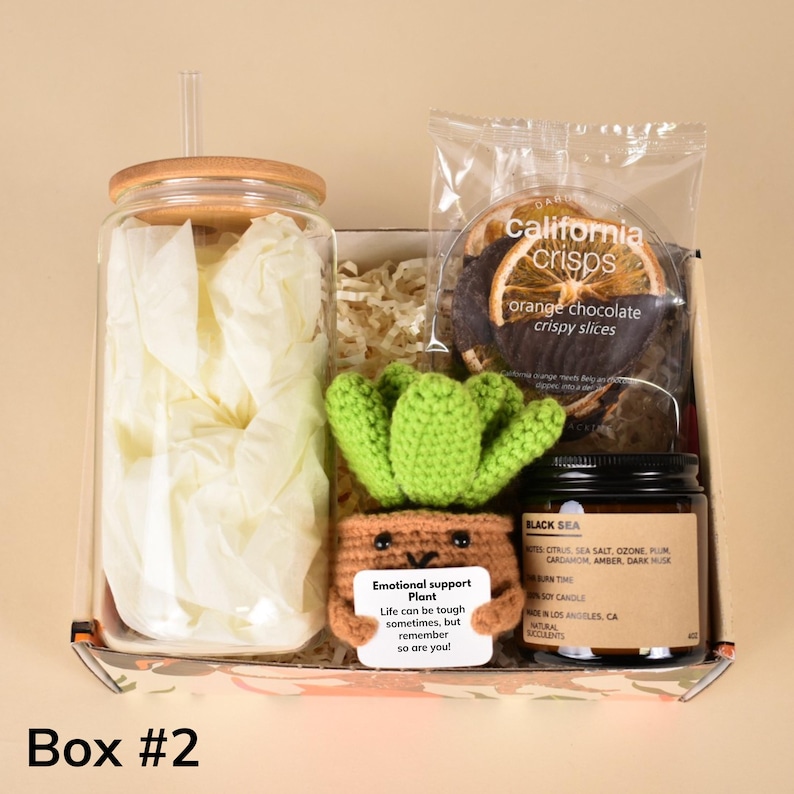 May include: A gift box labeled "Box #2" containing a glass jar with a bamboo lid, a crocheted cactus, a candle, and a bag of orange chocolate crispy slices. The cactus has a sign that reads "Emotional support Plant".