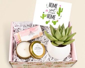 House Warming Gifts - New Home Gift - New Home Gift Box - Happy New Home - Home Sweet Home - Succulent Gift - Housewarming Gift - (XFJ3)