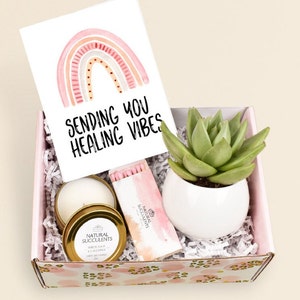 Healing Vibes Succulent Gift Box, Care Package for her Get Well Soon Gift, You Are Strong Gift, Cheer Up Gift Box, Natural Succulents (XFG9)