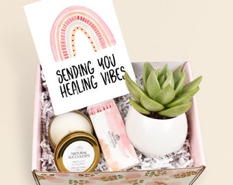 Healing Vibes Succulent Gift Box, Care Package for her Get Well Soon Gift, You Are Strong Gift, Cheer Up Gift Box, Natural Succulents (XFG9)