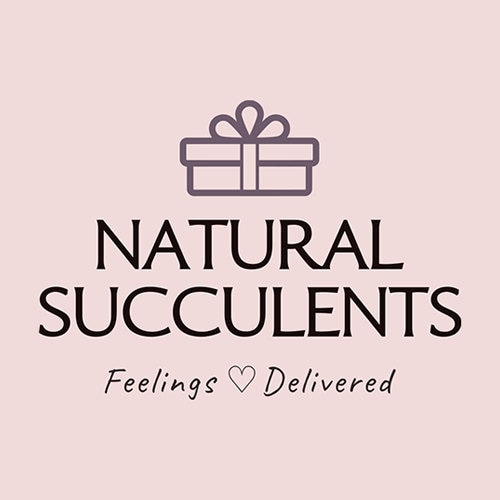 NaturalSucculents logo