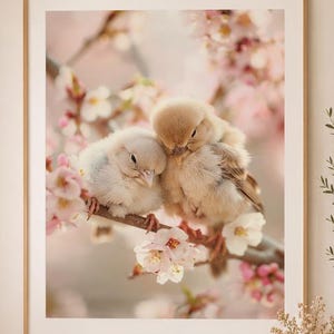 Sleeping Baby Bird Nursery Art, Neutral Baby Room Decor