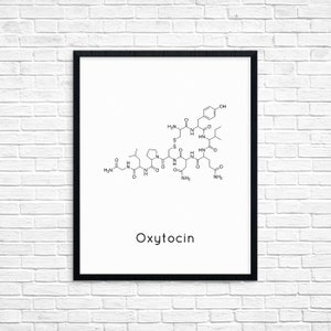 Instant Download Oxytocin Molecule  Printable Chemistry Wall Art Science Gift Digital Download Chemistry Art Downloadable Prints 1