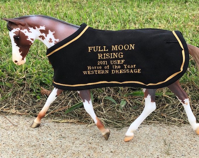 FULL MOON RISING Famous Thoroughbred Race Racehorse Horse to Western