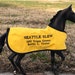 see more listings in the Famous Horse Blankets section