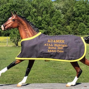 ADAMEK geborduurde deken voor het beroemde Breyer Akhal-Teke-modelpaard ATAA Hightlight Horse in 2021-speelgoed