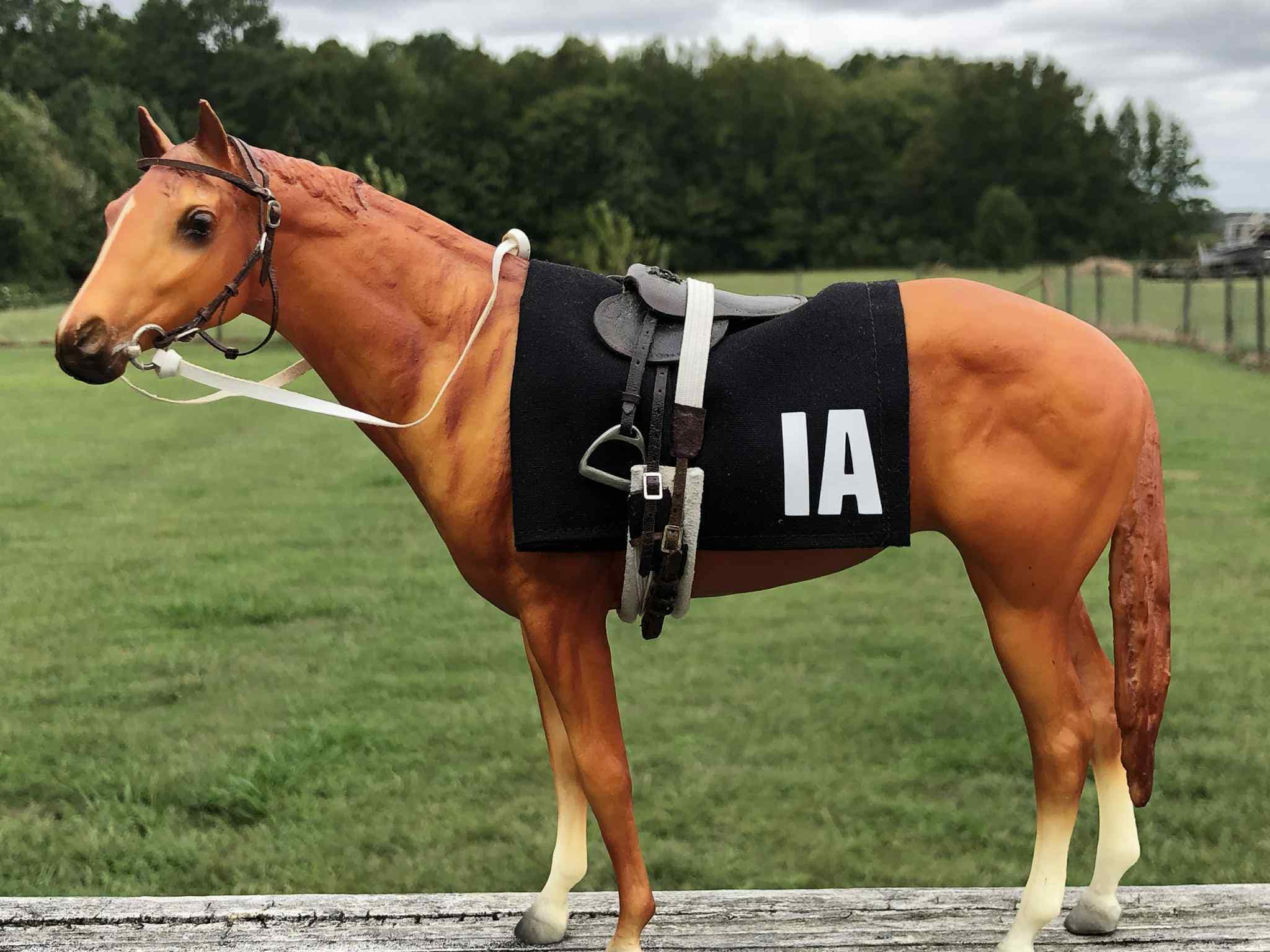 Breyer Horse Costume