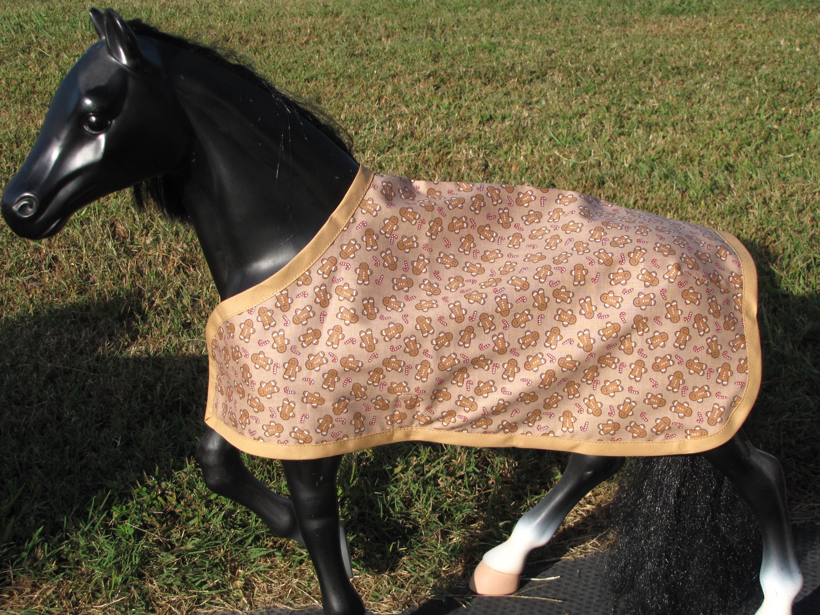 Horse Blanket Girl
