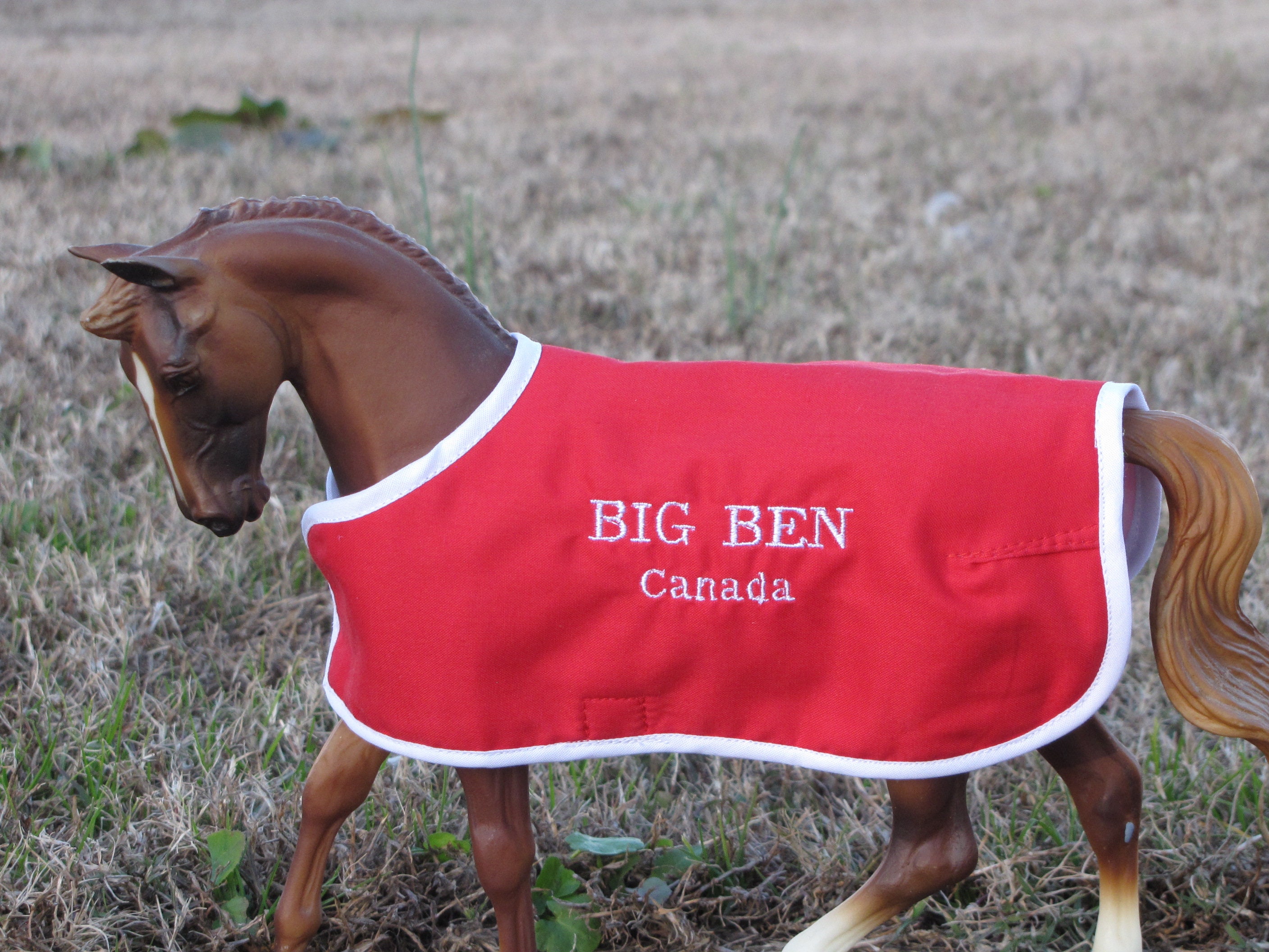 BIG BEN manta bordada para Breyer CANADIAN Canada mostrar | Etsy México