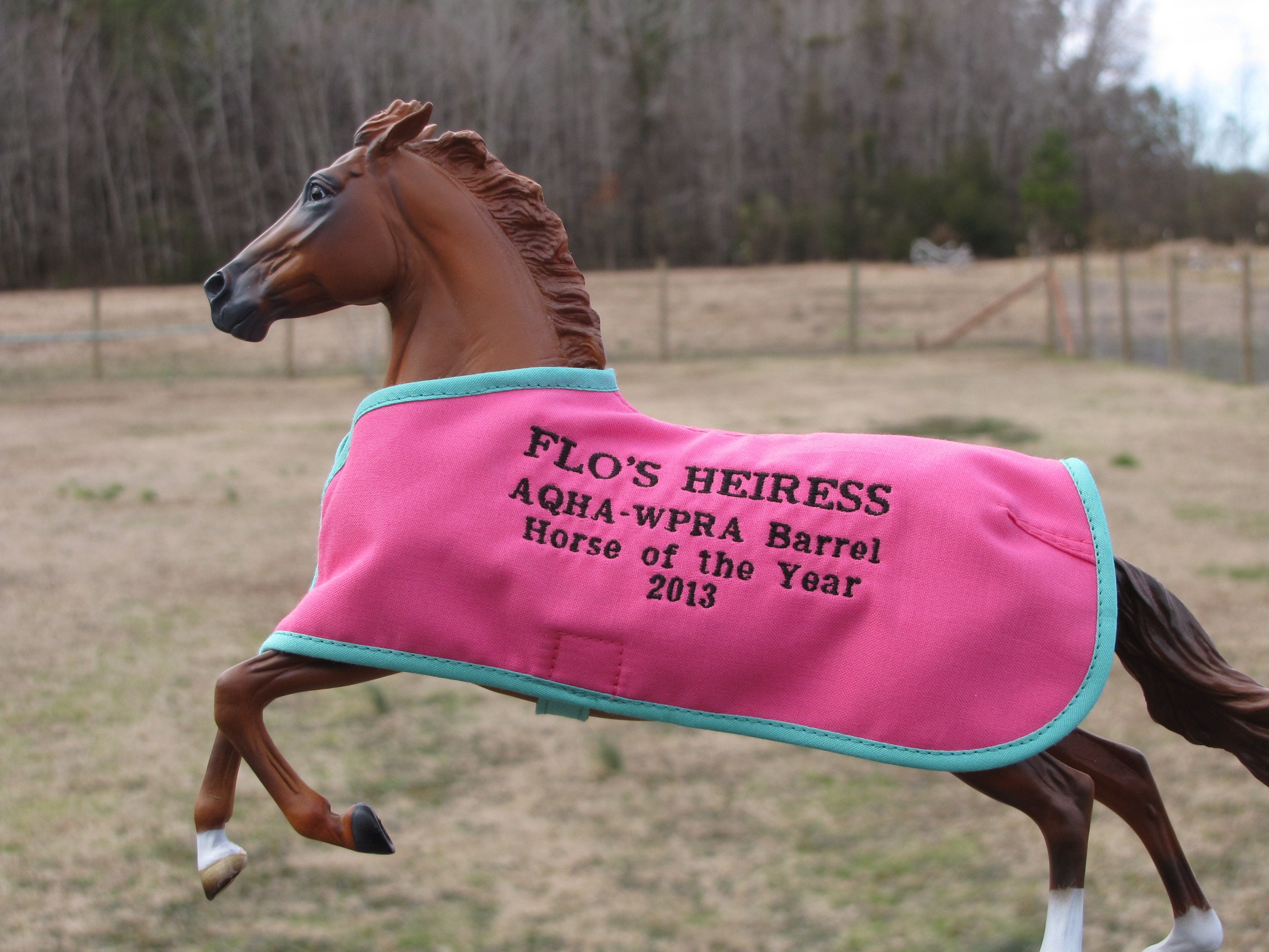 Heiress Embroidered Blanket 