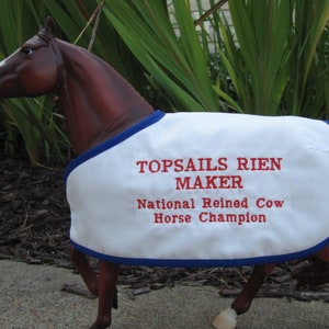 TOPSAILS RIEN MAKER embroidered blanket for Breyer aqha quarter horse qh national reined cow horse champion championship custom made nrch