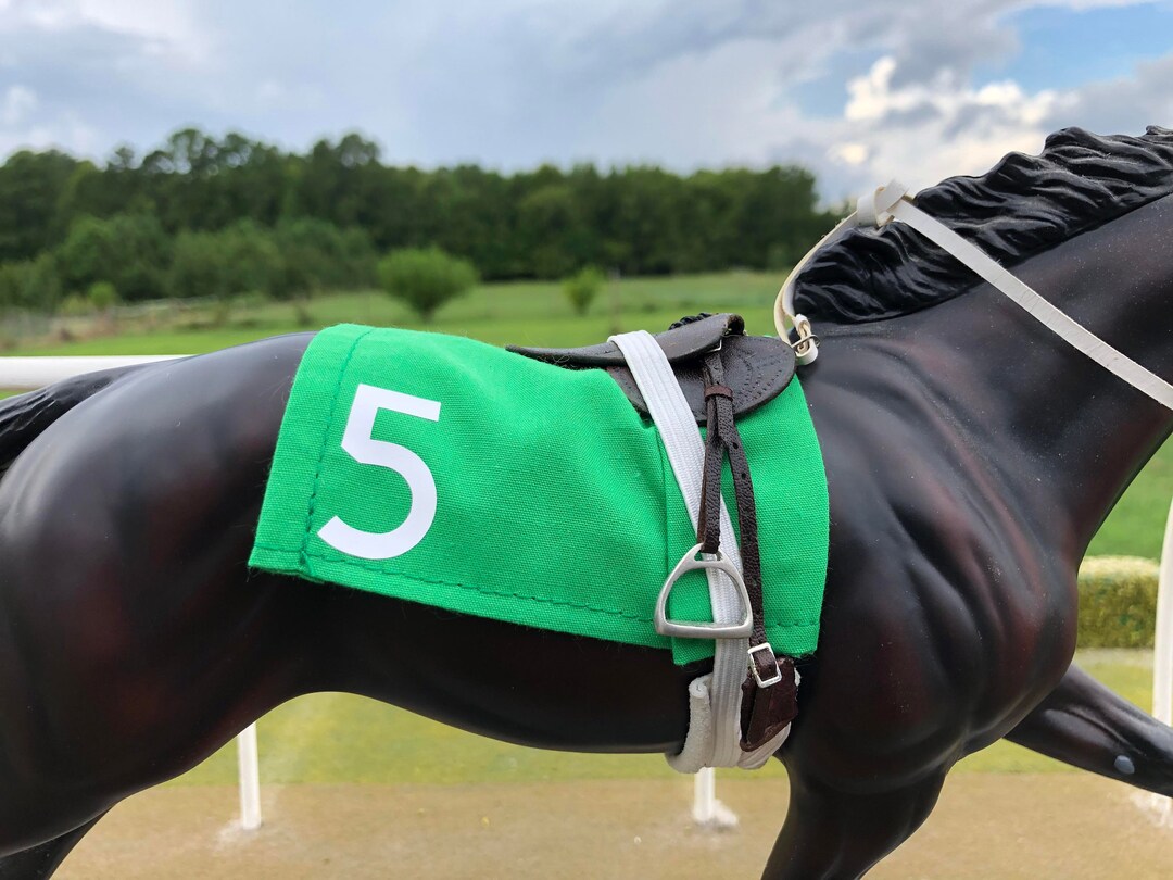 洋書 MUSTANG The Racing Thoroughbred 洋書 MUSTANG The Racing Thoroughbred 洋書 MUSTANG The Racing