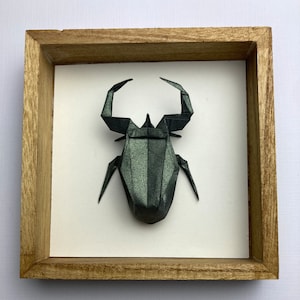 May include: A black origami beetle with a metallic sheen is displayed in a wooden frame. The beetle is folded in a realistic style with detailed legs and antennae.