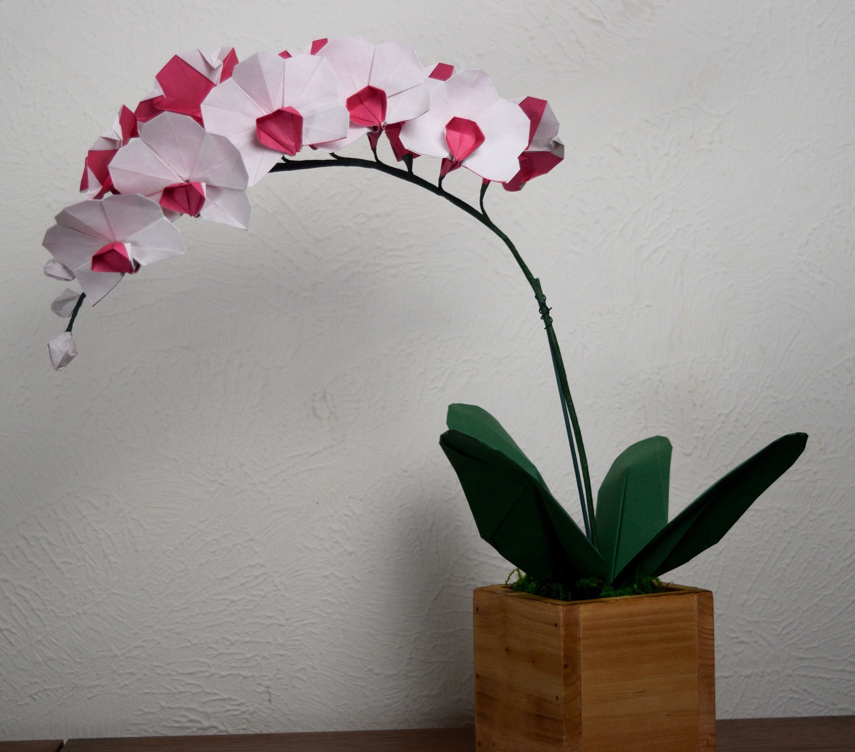 Origami Orchids Etsy