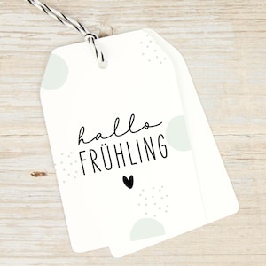 Stempel "hallo Frühling" - perfekt für Frühlingsgefühle (WS027)