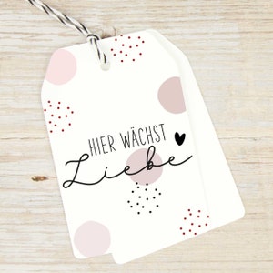 Stempel "Hier wächst Liebe" / Stempel Gastgeschenk / Stempel Hochzeit / Taufe / Kommunion / Konfirmation / Gartenstempel / Samentütchen