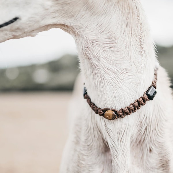 Dog and Cat Collar with Natural Gemstones. Solidary Dog and Cat Neckwear with Crystals. Handcrafted with waxed cotton. Vegan Pet Jewelry