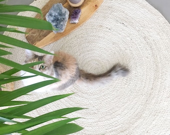 May include: A calico cat with green eyes sits on a white round jute rug. The cat is looking at the camera. A wooden board with crystals and a candle sits in the background.
