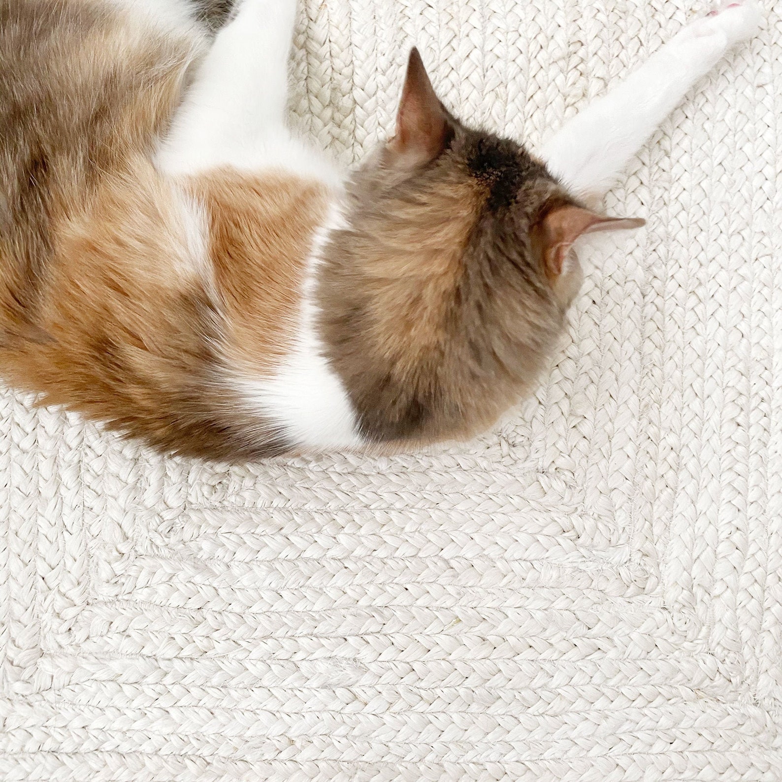 Large Juste Rug Extra Large Jute Rug in Warm White. Ecologic Jute and Herb Dye Rug ...