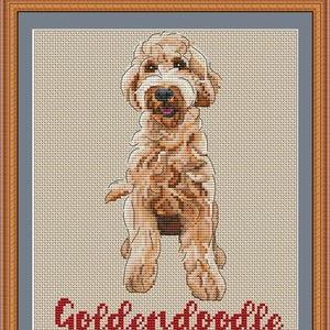 May include: Cross stitch pattern of a golden doodle dog named "Wren". The pattern is in a brown frame with a blue mat.