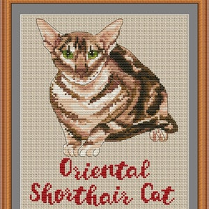 Oriental shorthair cat mom wzór pdf haft krzyżykowy