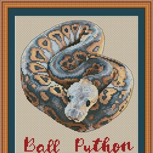 Pode incluir: Padrão de ponto cruz de uma cobra pitão bola enroscada em forma de coração. A cobra é de cor cinza claro com marcas marrons e pretas. O texto "Ball Python" e "Worm" está escrito em vermelho abaixo da cobra. O texto "PuntAGOpetitePatternetsy.com" está escrito em preto abaixo do texto.