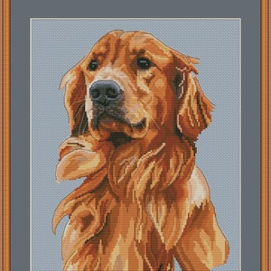 Golden retriever portrait cross stitch pdf pattern