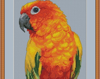 Sun conure portrait cross stitch pdf pattern