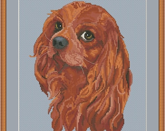 Cavalier charles king spaniel  portrait cross stitch pdf pattern