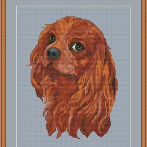 Puede incluir: Patrón de punto de cruz de un perro Cavalier King Charles Spaniel con pelaje marrón. El perro está mirando hacia la izquierda de la imagen. El patrón está sobre un fondo azul claro.